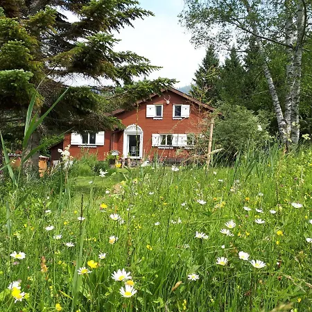 Chic * Wildhaus